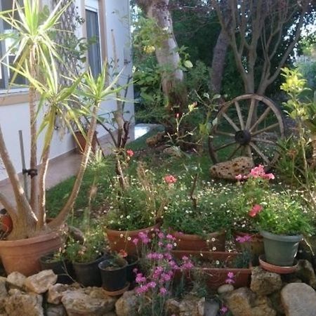 Somatás Mikros Paradisos المظهر الخارجي الصورة