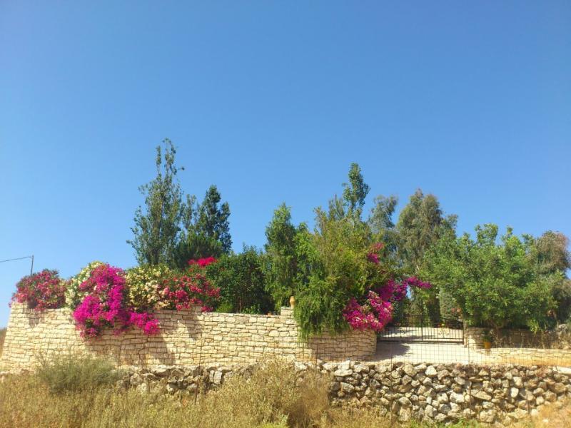 Somatás Mikros Paradisos المظهر الخارجي الصورة