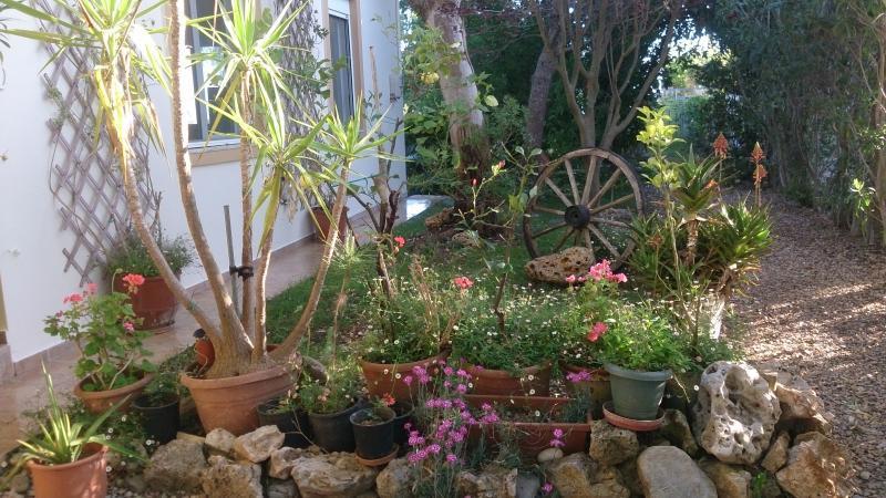 Somatás Mikros Paradisos المظهر الخارجي الصورة