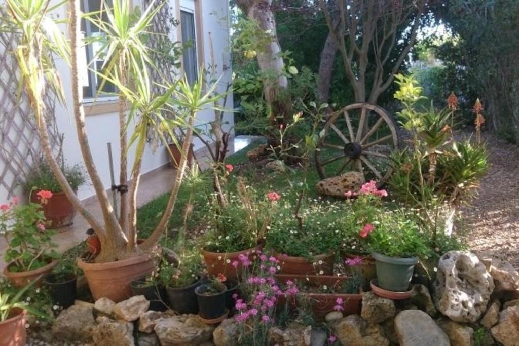 Somatás Mikros Paradisos المظهر الخارجي الصورة